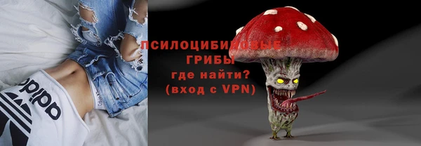 дживик Алексеевка