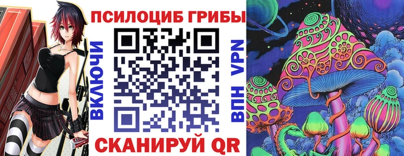 мориарти как зайти  Оленегорск  Псилоцибиновые грибы GOLDEN TEACHER  блэк спрут  